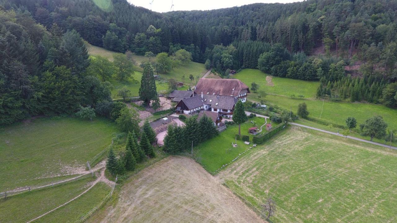 Kempfenhof Seelbach  Kültér fotó