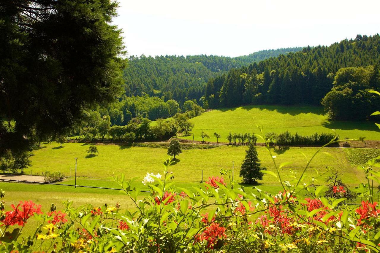 Kempfenhof Seelbach  Kültér fotó